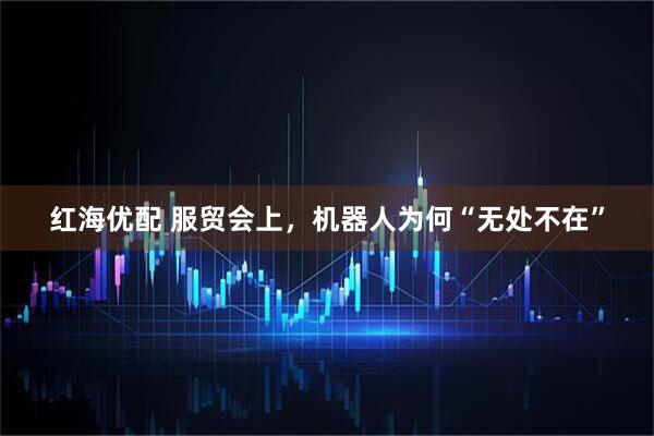 红海优配 服贸会上，机器人为何“无处不在”