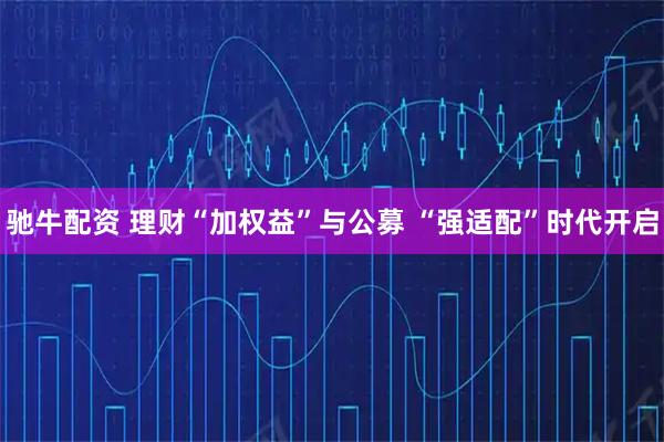 驰牛配资 理财“加权益”与公募 “强适配”时代开启